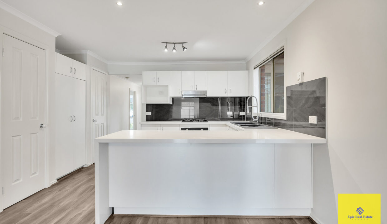 uploads2F1763419653829-xfh40fagv88-47960ddcf32822f34559894d8f74e4b62F_O0A0834