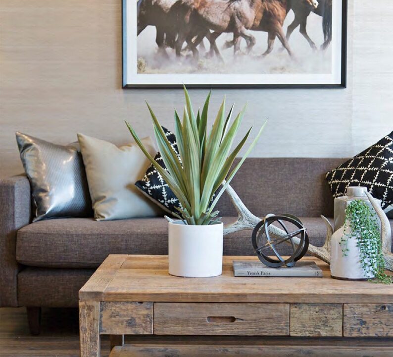 uploads2F1763525447859-wnavtk2109-a9359f6000e20875dd373e340bf493c22FLOT18ConstableStreet2CBeveridge-Barton171_19